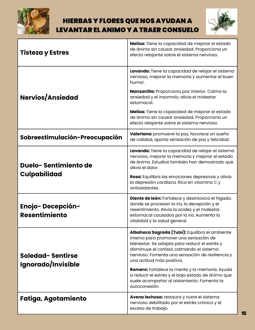 toque el enlace para acceder la Guia/ click to access handouts in the guide