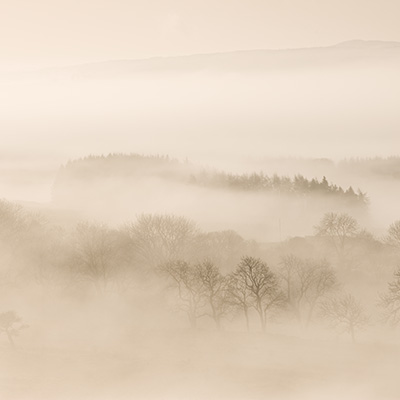 morag paterson icm landscape dreamlike
