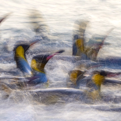 expressive icm landscape photograph