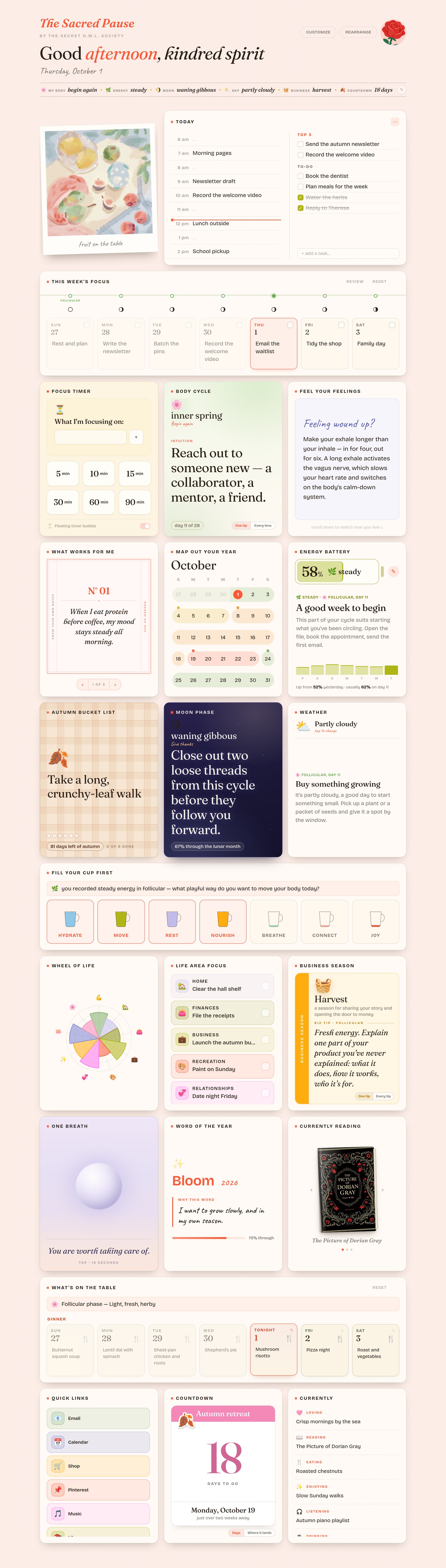 The Sacred Pause dashboard, filled in for one day